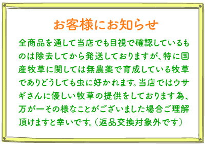 https://thumbnail.image.rakuten.co.jp/@0_mall/auc-nbreed/cabinet/site01/shohin1/img61690987.jpg?_ex=500x500