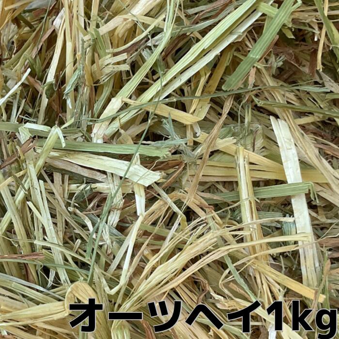 オーツヘイ 1kg 入り うさぎ モルモット チンチラ テグーに うさぎ/牧草/チモシー/オーツヘイ/エサ うさぎの牧草 楽天市場 牧草 楽天 市場 楽天 市場 牧草