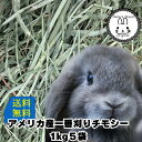ウサギ 牧草 チモシー うさぎ 土日祝も出荷 2025新刈り入荷 あす楽 送料無料 アメリカ 産 一番刈り チモシーシングルプレチモシー1kg x5袋 うさぎ ウサギ モルモット 草食ペット 主食 1番狩り 1番刈り 市場 楽天 牧草 ラビット フード