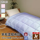 肌掛け布団 夏布団 夏掛け布団 掛け布団 肌布団 羊毛混 ジュニア 無地 綿100% 防ダニ 抗菌 防臭 帝人 肌掛け布団 ウール混 ポリエステル綿 ふとん 掛...