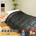 肌掛け布団 夏布団 夏掛け布団 掛け布団 肌布団 羊毛混 ベビー シンプルカラー 綿100% 防ダニ 抗菌 防臭 帝人 肌掛け布団 ウール混 ポリエステル綿 ふ...
