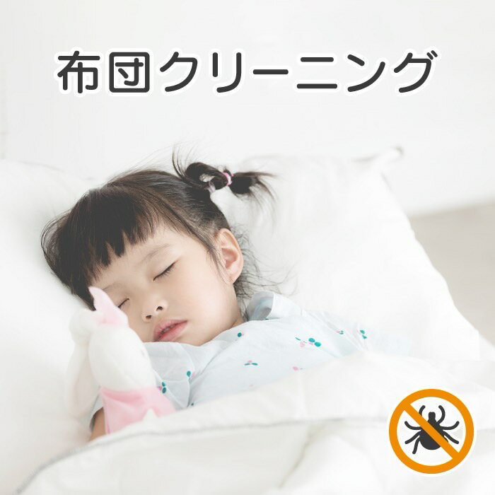 布団クリーニング レビュー特典あり 羽毛 綿布団 ふとん 丸洗い クリーニング 防ダニ 抗菌加工付 ふとんクリーニング 羽毛布団 丸洗い 宅配 敷き布団 掛け布団 掛布団 敷布団