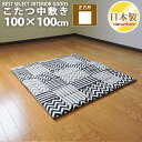 こたつ 中敷き布団 カシオペア 100×100 正方形 スタイリッシュ 綿100% こたつ用品 こたつ布団 ラグ 敷布団 コタツ 日本製 送料無料 眠り姫