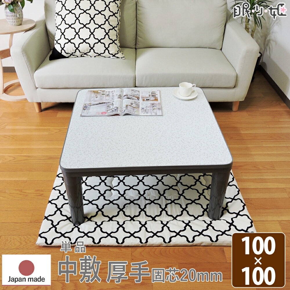  ߤ  100100cm ե ɲդڸ 饰ѥޥå 100% ʿ ̲  ñ å Ҷ ...