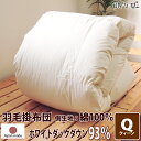 掛け布団 羽毛布団 ポーランド産 370dp 1.7kg クイーン 綿100% 210×210cm ホワイト ダック 93% 立体キルト シルバー 230本 日...