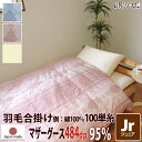 合掛け布団 羽毛布団 羽毛 ポーランド産 484dp 0.5kg ジュニア 綿100% 135×185cm ホワイト マザーグース 95% 立体キルト プラチナ 100単糸 シャーロットII 日本製 送料無料 【工場直接出荷】【代引き不可】