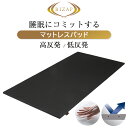 【20%OFFクーポン】マットレスパッド シングル 厚さ3cm トッパー RIZAP ライザップ 高反発 低反発 体圧分散 選べる寝心地 丸巻き 腰や肩が気になる方へ 睡眠にコミット 圧縮 ベッドパッド JD02009407 JD02009408