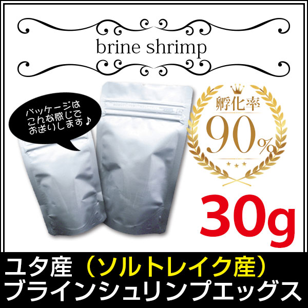 送料無料 メール便N ユタ産 ソルトレイク産 ブラインシュリンプエッグス 孵化率90％ 30g＜無印缶小分けタイプ＞ 金魚小屋-希-福岡 メダカやグッピーにも