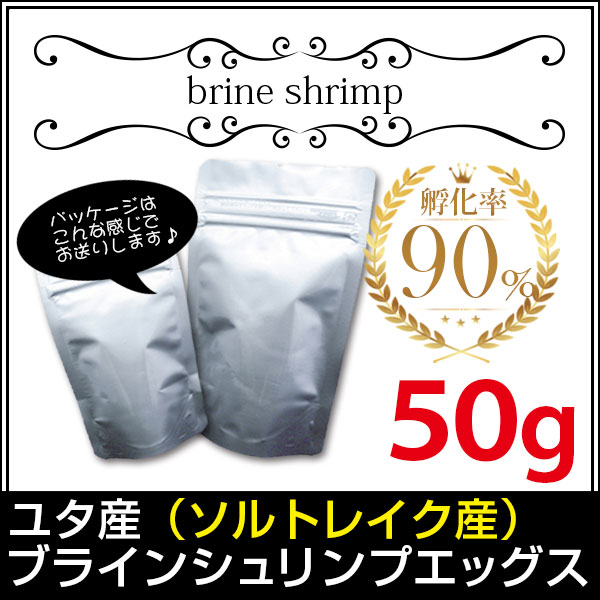 送料無料 メール便N ユタ産 ソルトレイク産 ブラインシュリンプエッグス 孵化率90％ 50g＜無印缶小分けタイプ＞ 金魚小屋-希-福岡 メダカやグッピーにも