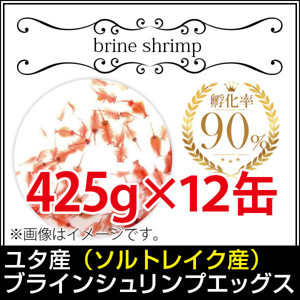 送料無料 宅配 ユタ産 ソルトレイク産 ブラインシュリンプエッグス 孵化率90％ 5448g＜無印缶 12缶＞ 金魚小屋-希-福岡 メダカやグッピーにも