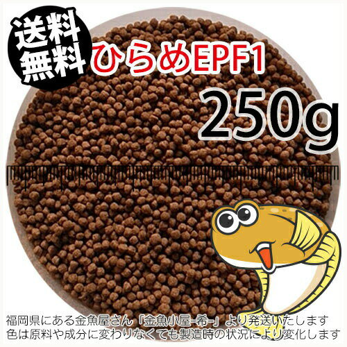 浮上性/日清丸紅飼料ひらめEPF1(2.0mm)250g小分け品(メール便／金魚小屋-希-福岡／3日)