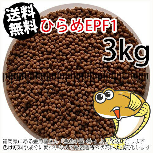 浮上性/日清丸紅飼料ひらめEPF1(2.0mm)3kg小分け品(★宅配便★※東北・北海道・沖縄は別途送料800円／金魚小屋-希-福岡／3日)