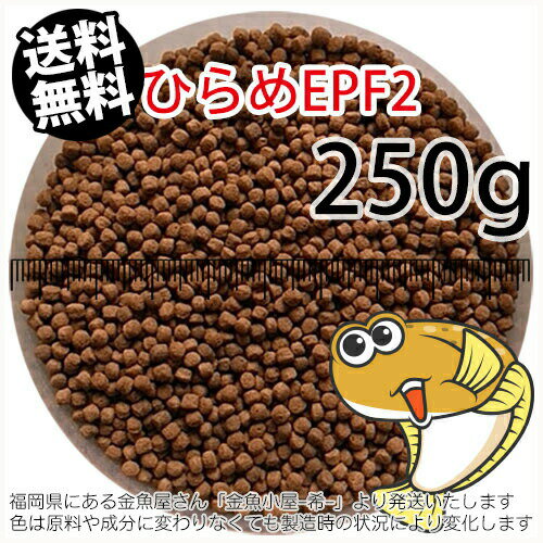 浮上性/日清丸紅飼料ひらめEPF2(2.5mm)250g小分け品(