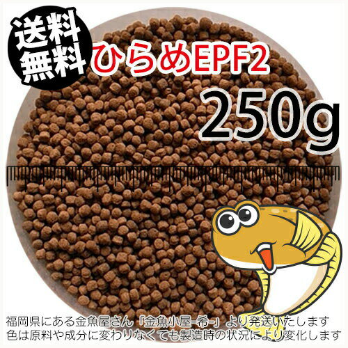 浮上性/日清丸紅飼料ひらめEPF2(2.5mm)250g小分け品(メール便／金魚小屋-希-福岡／3日)