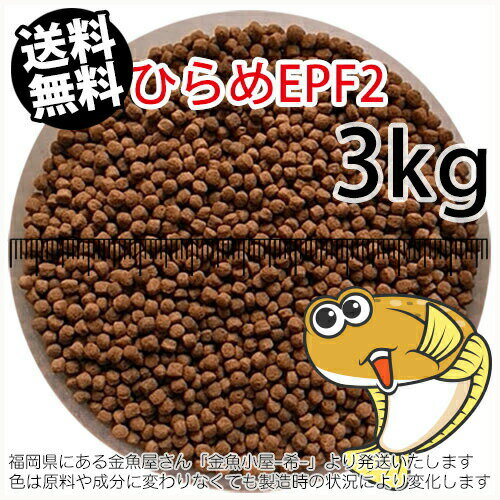 浮上性/日清丸紅飼料ひらめEPF2(2.5mm)3kg小分け品(★宅配便★※東北・北海道・沖縄は別途送料800円／金魚小屋-希-福岡／3日)