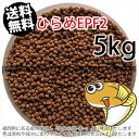 浮上性/日清丸紅飼料ひらめEPF2(2.5mm)5kg小分け品(★宅配便★※東北・北海道・沖縄は別途送料800円／金魚小屋-希-福岡／3日)