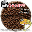 㐫/ۍgЂEPF3(3.5mm)2kgi(z̓^[pbNkkCꑗ800~^--^3)