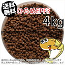 浮上性/日清丸紅飼料ひらめEPF3(3.5mm)4kg小分け品(★宅配便★※東北・北海道・沖縄は別途送料800円／金魚小屋-希-福岡／3日)