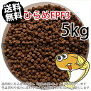 浮上性/日清丸紅飼料ひらめEPF3(3.5mm)5kg小分け品(★宅配便★※東北・北海道・沖縄は別途送料800円/金魚小屋-希-福岡/3日)