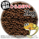 㐫/ۍgЂEPF4(4.6mm)2kgi(z̓^[pbNkkCꑗ800~^--^3)