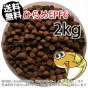 㐫/ۍgЂEPF6(6.0mm)2kgi(zցkEkCE͕ʓr800~^--^3)