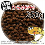 浮上性/日清丸紅飼料ひらめEPF6(6.0mm)250g小分け品(メール便／金魚小屋-希-福岡／3日)