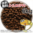 浮上性/日清丸紅飼料ひらめEPF6(6.0mm)6kg小分け品(★宅配便★※東北・北海道・沖縄は別途送料800円／金魚小屋-希-福岡／3日)