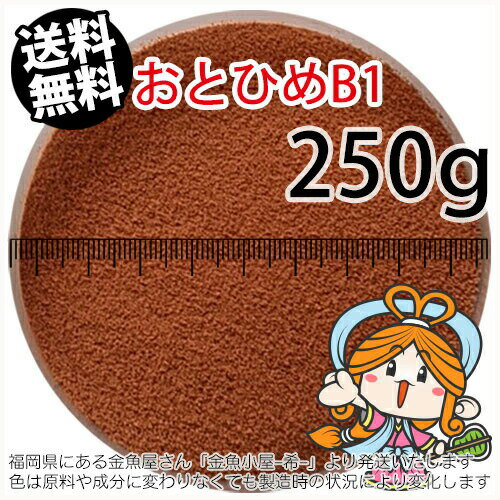 沈降性(沈下性)日清丸紅飼料おとひめB1(0.2～0.36mm)250g小分け品(メール便／金魚小屋-希-福岡／3日)