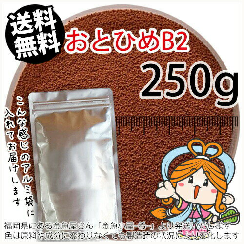 楽天市場】日清丸紅飼料 おとひめ b2 2kgの通販 楽天市場】日清丸紅飼料 おとひめ b2 2kgの通販