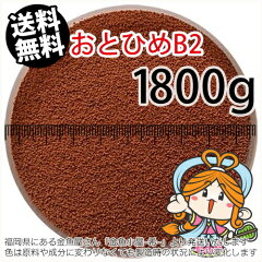 https://thumbnail.image.rakuten.co.jp/@0_mall/auc-net-cosmez/cabinet/goldfish/mn-feed/otohime-b2-k-1800.jpg