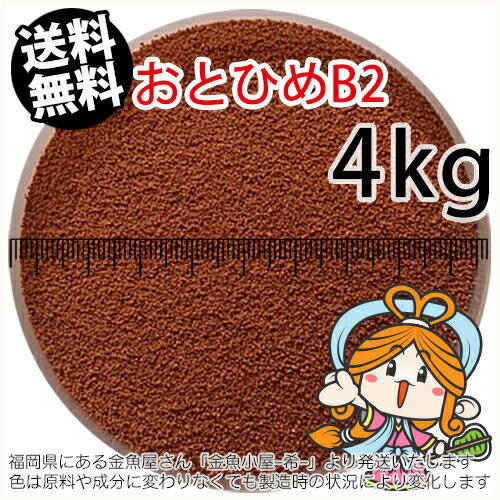 otohime-b2-k-4000.jpg otohime-b2-k-4000.jpg