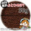 ()ݹȻȤҤEP1(1.31.7mm)50gʬ(᡼ء--ʡ3)