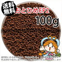 沈降性(沈下性)日清丸紅飼料おとひめEP2(1.9〜2.0mm)100g小分け品(メール便／金魚小屋-希-福岡／3日)