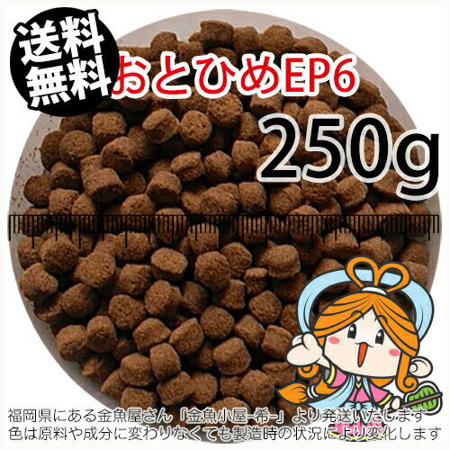 沈降性(沈下性)日清丸紅飼料おとひめEP6(6.4～5.4mm)250g小分け品(メール便／金魚小屋-希-福岡／3日)