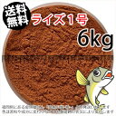 日清丸紅飼料ライズ1号(粒径0.25mm)6kg小分け品(★宅配便★※東北・北海道・沖縄は別途送料800円／金魚小屋-希-福岡／3日)