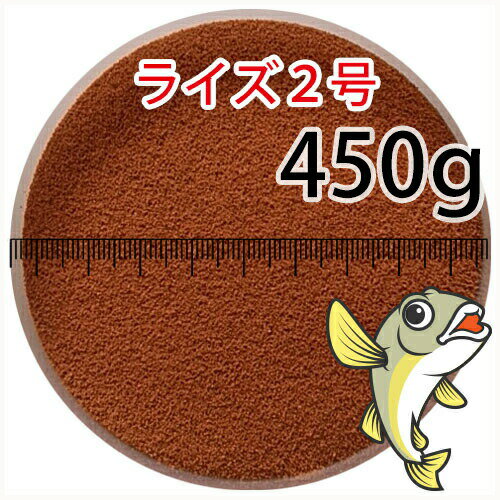 楽天市場】ライズ 2 号 2kgの通販