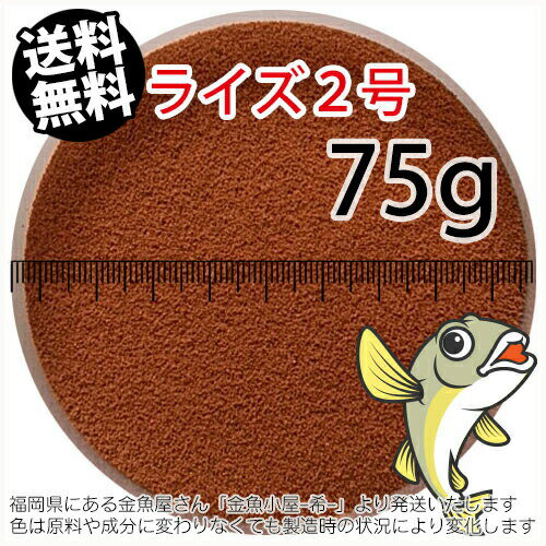 日清丸紅飼料ライズ2号(粒径0.36mm)75g小分け品(メール便／金魚小屋-希-福岡／3日)