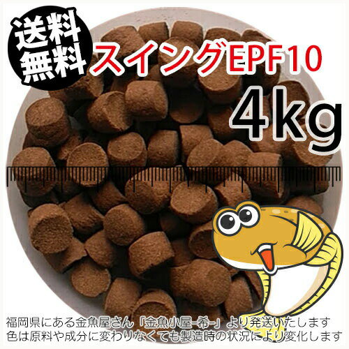 浮上性/日清丸紅飼料ひらめスイングEPF10(10.0mm)4kg小分け品(★宅配便★※東北・北海道・沖縄は別途送料800円／金魚小屋-希-福岡／3日)