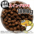 浮上性/日清丸紅飼料ひらめスイングEPF8(8.0mm)1800g小分け品(メール便／金魚小屋-希-福岡／3日)2kgから規格変更