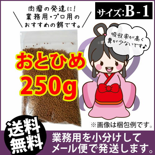 (送料無料※メール便N)日清丸紅飼料おとひめB1(0.2〜0.36mm)250g/沈降性 メダカのごはん 稚魚の餌 グッピーのエサ(金魚小屋-希-福岡)