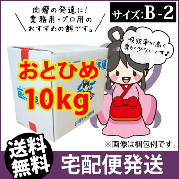 (メーカー直送)日清丸紅飼料おとひめB2(0.36〜0.62mm)10kg/沈降性 メダカのごはん 稚魚の餌 グッピーのエサ(金魚小屋-希-福岡)