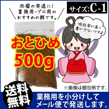 (送料無料※メール便N)日清丸紅飼料おとひめC1(0.58〜0.91mm)500g/沈降性 メダカのごはん 稚魚の餌 グッピーのエサ(金魚小屋-希-福岡)