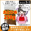 (送料無料※メール便N)日清丸紅飼料おとひめS1(1.0mm...