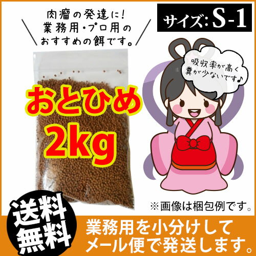 (送料無料※メール便kkg)日清丸紅飼料おとひめS1(1.0mm)2kg/沈降性 コイのごはん 熱帯魚の餌 アロワナのエサ(金魚小屋-希-福岡)