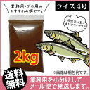 (送料無料※メール便kkg)日清丸紅飼料ライズ4号(粒径0.58〜0.84mm)2kg/メダカのごはん 稚魚の餌 グッピーのエサ(金魚小屋-希-福岡)