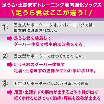 外反母趾 サポーター【足うら君】【両足用】 《1分間グーパー体操・足裏筋肉強化で1〜2ヶ月改善》 モートン病 足底筋膜炎 変形性膝関節症 リハビリ 足裏アーチ 土踏まず 足裏 足の裏 足裏サポート 靴下 着圧 敬老の日 敬老ギフト 健康グッズ プレゼント 贈り物 送料無料