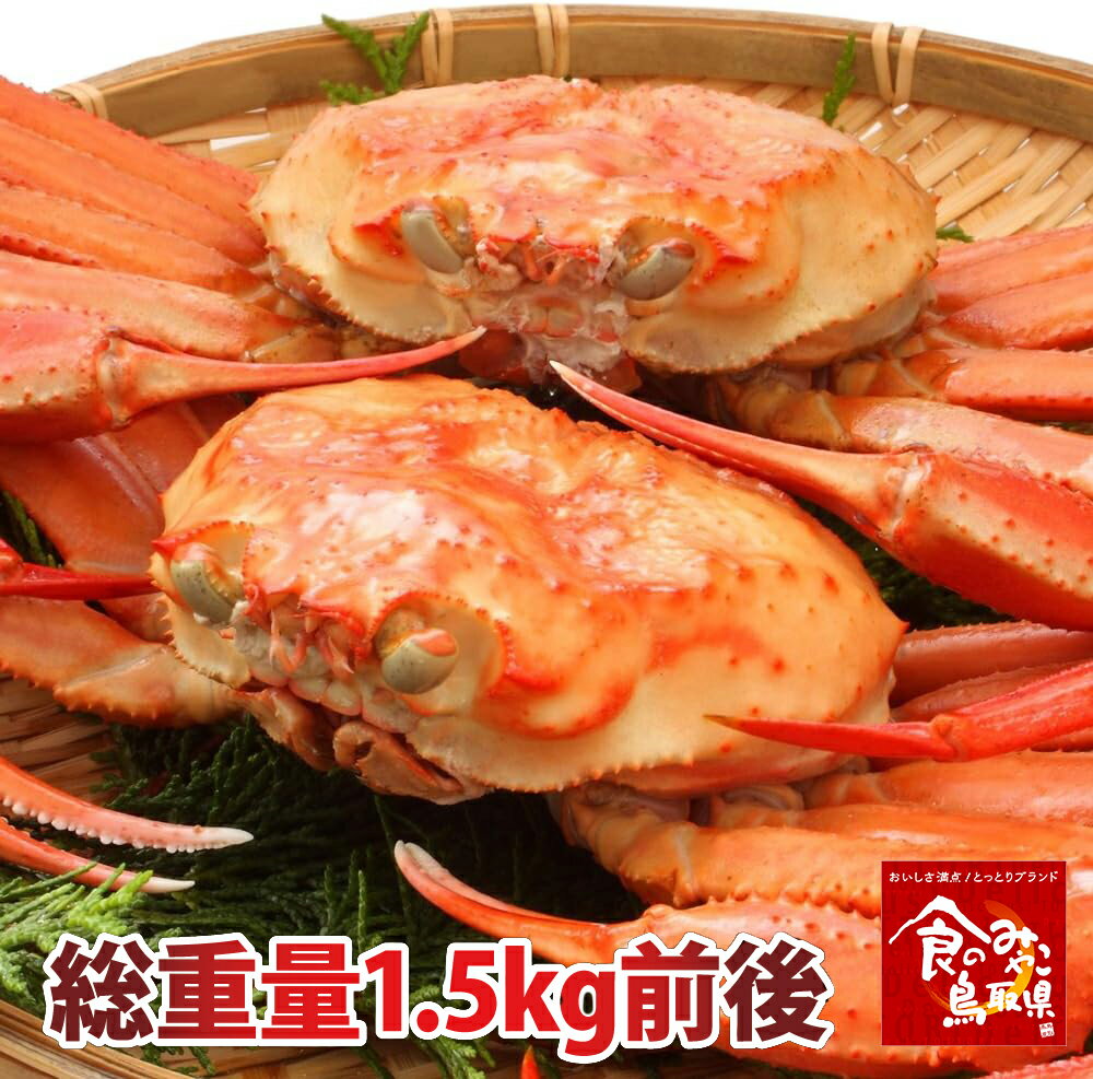 訳あり鳥取境港産天然紅ズワイガニ姿 【茹で】約1.5kg(ゆで上げ後1.2kg前後)　2枚〜4枚程度 【かに/カニ/蟹】