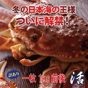 【送料無料】訳あり特上松葉ガニ(ズワイガニ) 活 特大サイズ1枚(1kg前後) 1落ち程度【かに/カニ/蟹】(島の人 礼文島の四季 北海道ギフト)はコチラ