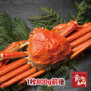 訳あり松葉ガニ(ボイル)大サイズ1枚800g前後 送料無料 ...
