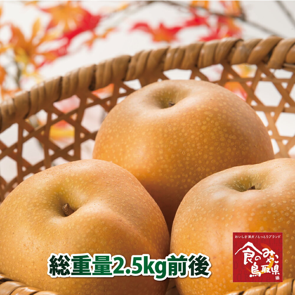 【送料無料】鳥取秋の味覚代表　鳥取県産20世紀梨 2.5kg 6から10玉入り【梨 なし ナシ】のサムネイル